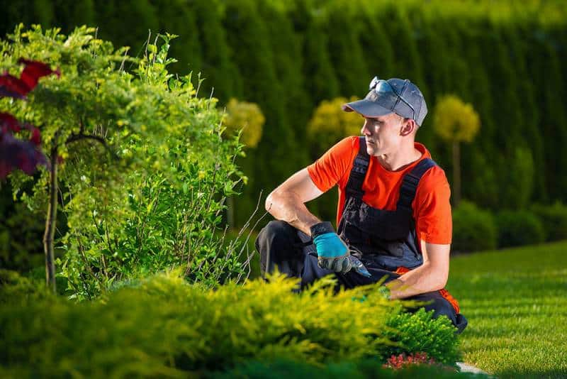 Jardinier paysagiste, un métier pour les amoureux de la nature