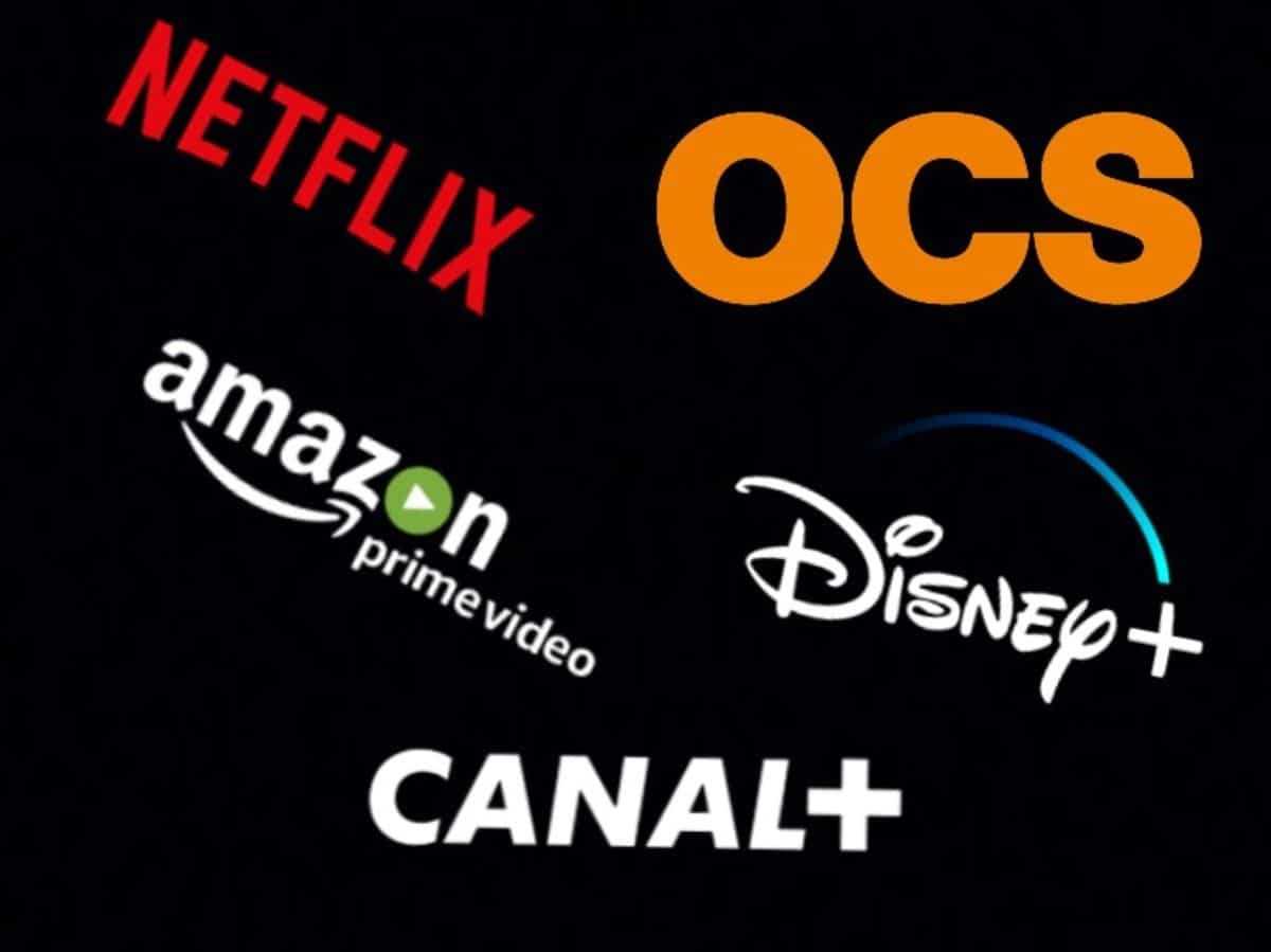 quelles-sont-les-alternatives-netflix-et-amazon-prime-pour-le